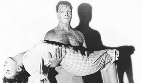 Im Sumpf des Grauens Bild 3