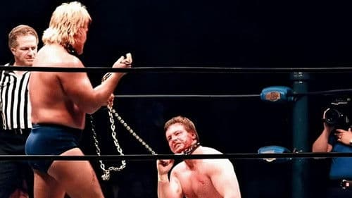 NWA Starrcade 1983 Bild 3