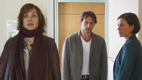 Die Sache mit der Wahrheit Bild 1