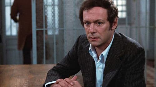 L'Affaire Crazy Capo Bild 7