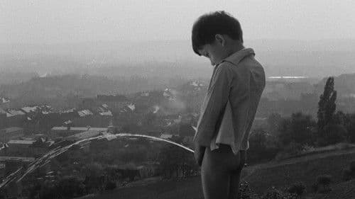 Perlen auf dem Meeresgrund Bild 8