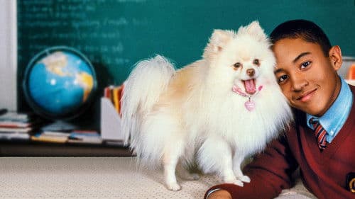 Herrchen wider Willen Bild 3