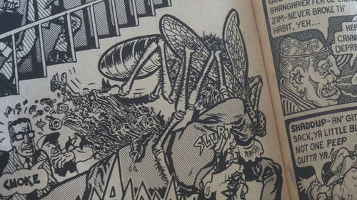 Life in the Cage Bild 2