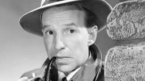 Michael Shayne: Private Detective Bild 3