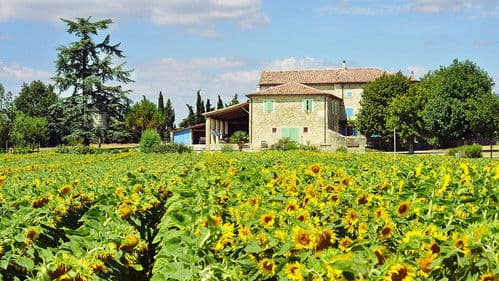 Ik Vertrek XL Bild 1