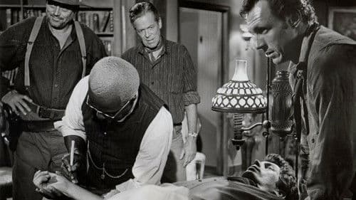 Die Revolverhand Bild 1