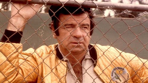 Die Bären sind los Bild 6