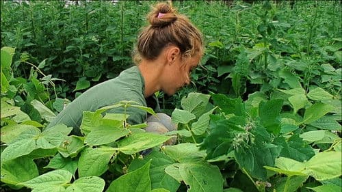 Anaïs, 2 chapitres Bild 6