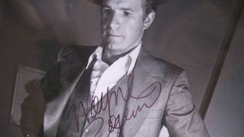 City of Angels Bild 2