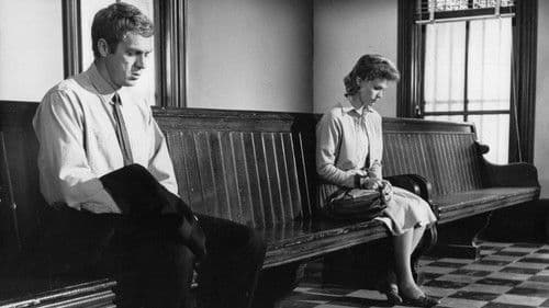 Die Lady und der Tramp Bild 3