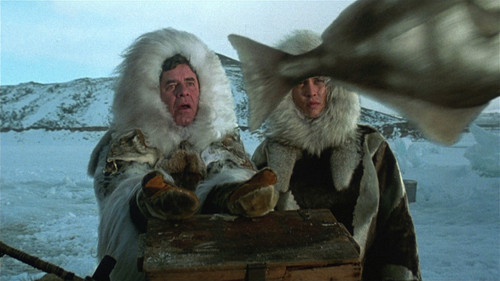 Arizona Dream Bild 3