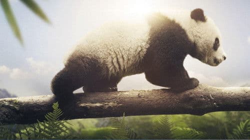 Unsere Erde 2 Bild 5