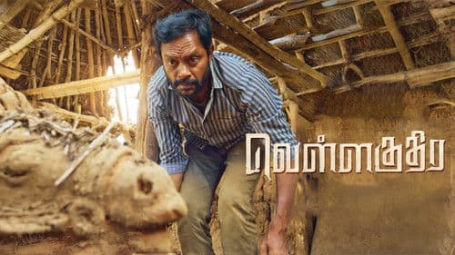 வெள்ளகுதிர Bild 1