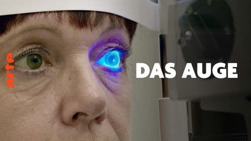 Das Auge - Forschung sehen Bild 1