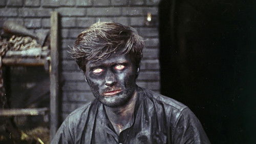 Eine Perle in der Krone Bild 5