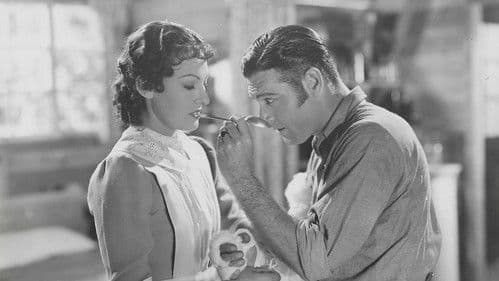 The Great Barrier Bild 1