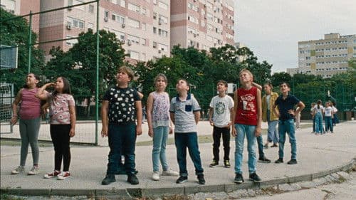 Lesson Learned Bild 3