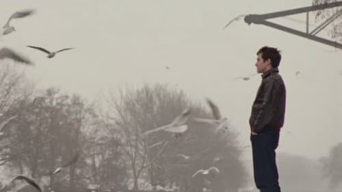 Time to Dance Bild 1