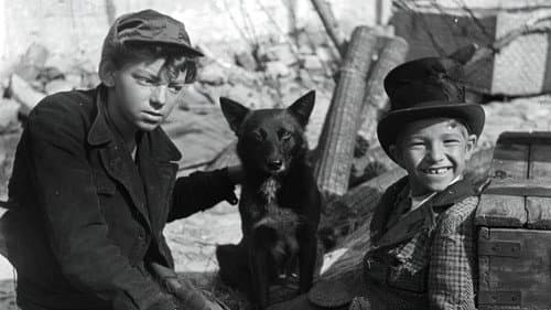 Godziny nadziei Bild 4