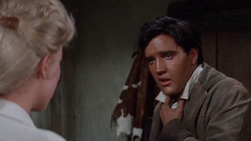 Flammender Stern Bild 6