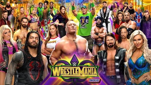 WWE WrestleMania 34 Bild 2