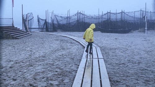 A Day at the Beach Bild 8