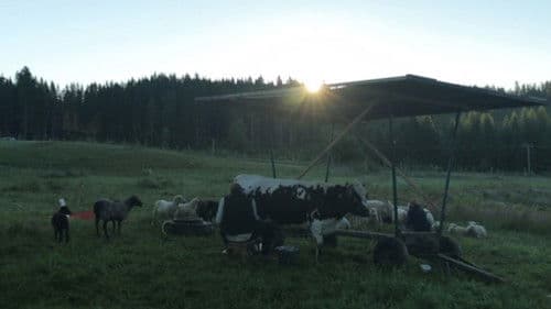 Gracie's Backyard Bild 2