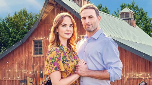 A Whirlwind Wedding - Hochzeitsplanung leicht gemacht Bild 1