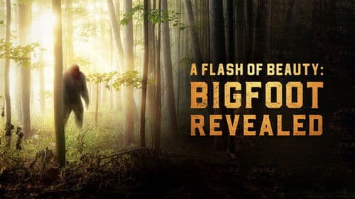 A Flash of Beauty: Bigfoot Revealed Bild 1