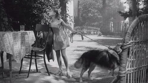 Дрессировщики Bild 1