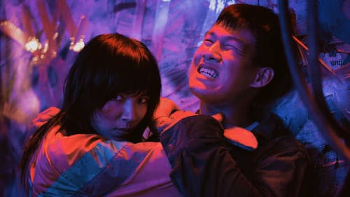 Thanh Sói: Cúc Dại Trong Đêm Bild 2