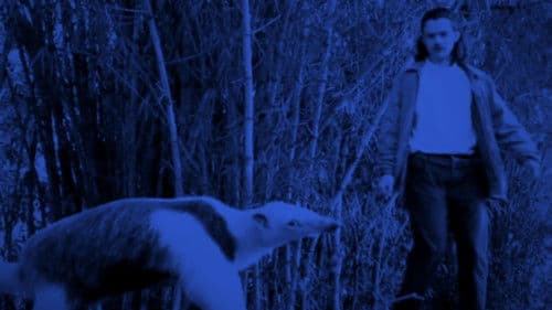 A Mais Longa das Noites Bild 1