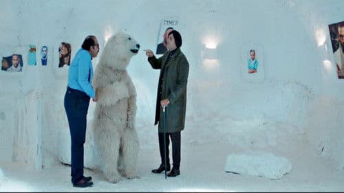 كلب بلدي Bild 3