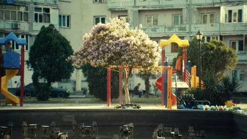 ნეტავ აღარასდროს მოვიდეს ზაფხული Bild 1