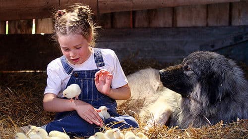 Kleine Hände, große Pfoten Bild 7