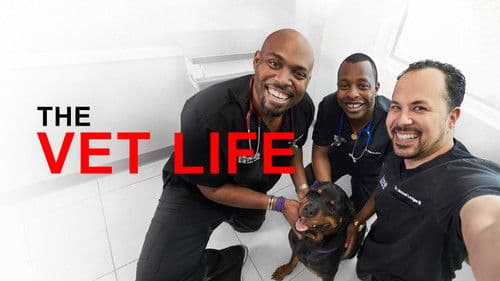 Die Tierärzte von Houston Bild 8