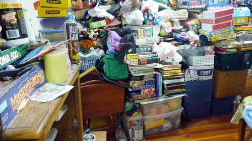 Diagnose: Messie Bild 8