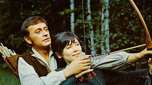 Robin Hood, der Freiheitsheld Bild 1