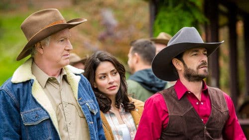 Love in Paradise Bild 7