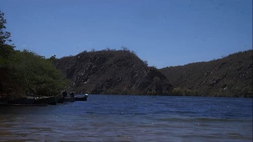 As Curvas da Estrada Bild 2