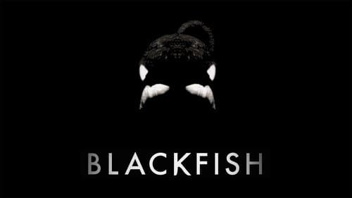 Blackfish: Der Killerwal Bild 5