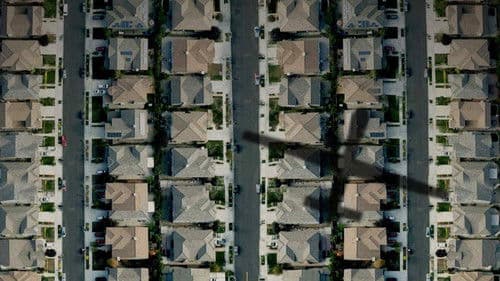 National Bird Bild 2