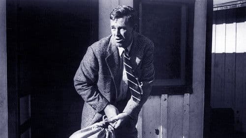 Die Rechnung ging nicht auf Bild 5