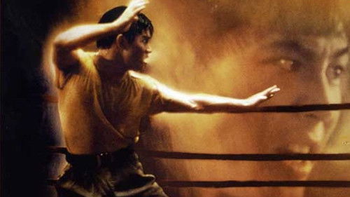 Born to Defense Bild 6