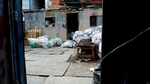 El cuarto reino Bild 4