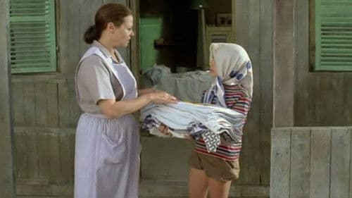 Aviyas Sommer Bild 2