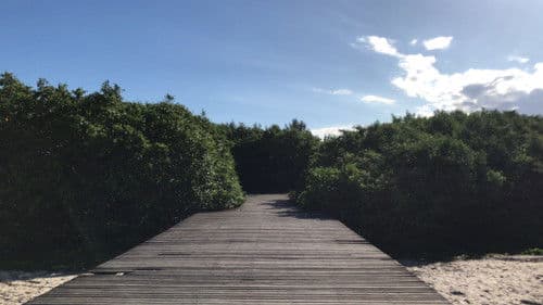 Sepetiba | Um Mar de Lembranças Bild 4