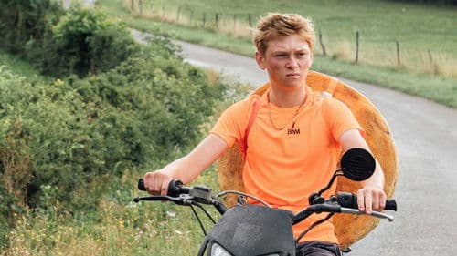 Könige des Sommers Bild 7