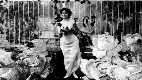 La fée aux choux ou la naissance des enfants Bild 1