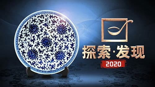 探索发现:2017考古进行时 Bild 1